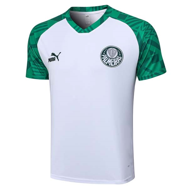 Camiseta Entrenamiento Palmeiras 2023/2024 Blanco Verde